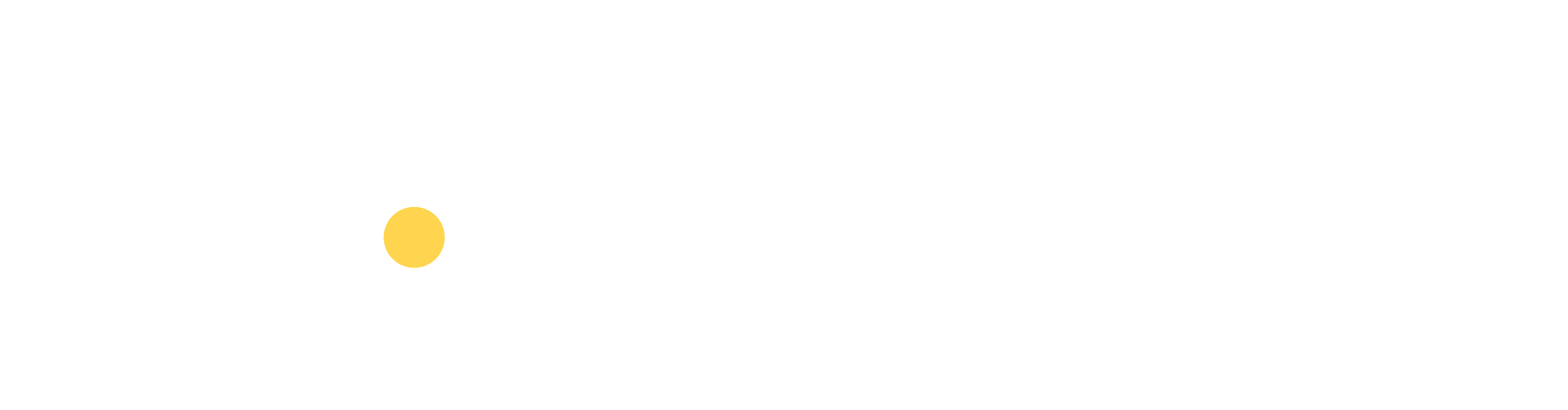 AI Ninjas