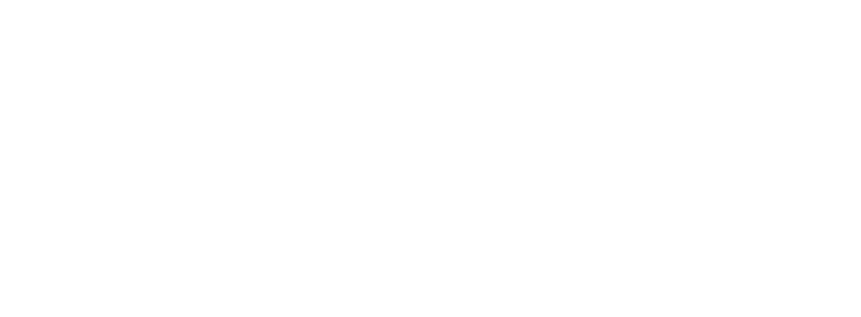 Raynet