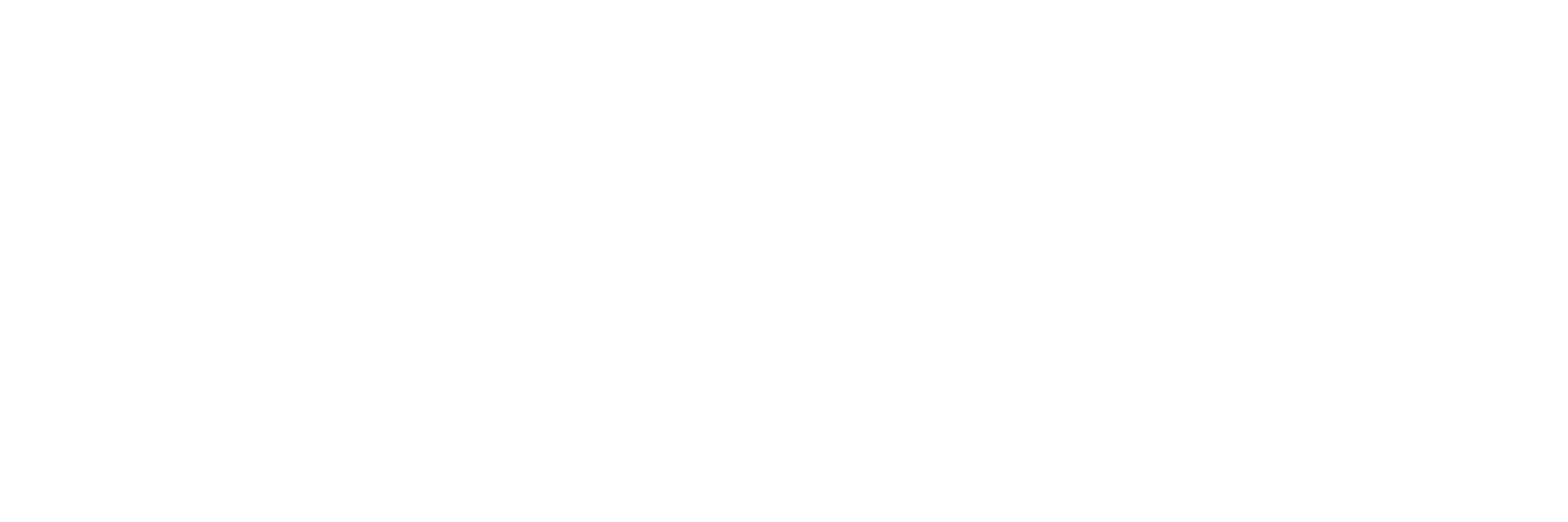 Zorius Pro
